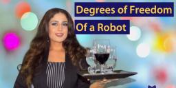 Everything About the Degrees of Freedom of a Robot