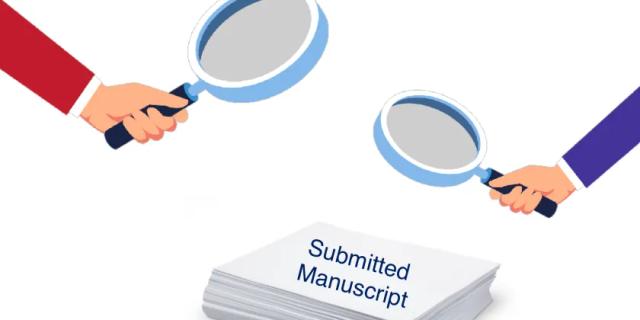 How to Perform an Effective Peer Review